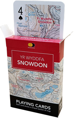 Playing Cards Snowdon